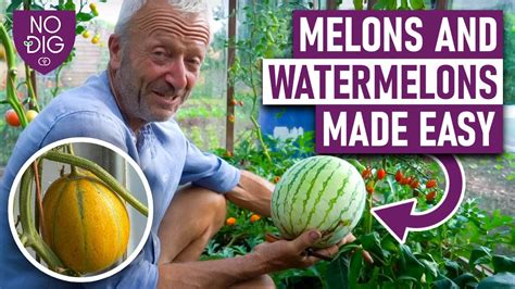 melonyube|Free Melons Tube Porn Videos 